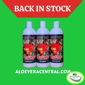 Scarlet Globemallow Yerba de la Negrita Shampoo Conditioner Concentrate Back in Stock
