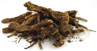 Osha Root Herb (Porter's lovage)